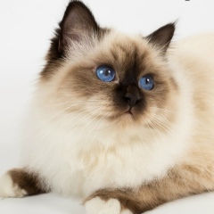 Марина Боркина, 13.05.1964, Калининград