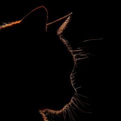 Жан Шагиахметов, 29.03.1986