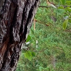 Екатерина Ухова, 18.02, Москва