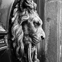 Konstantin Grig, 27.05, Санкт-Петербург