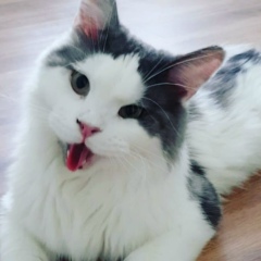 Илья Кузнецов, 10.04.1991, Волгодонск