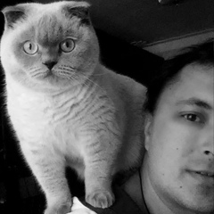 Вова Гамза, 07.07, Киев