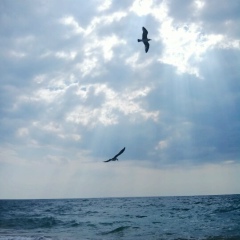 Алексей Бахтин, 29.12, Тюмень