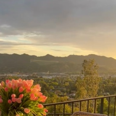 Меруерт Бек, Алматы