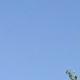 Диана Ботаева, 14.08, Москва