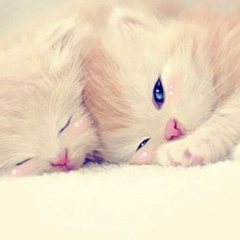 Александра Краснова, 22.10, Санкт-Петербург