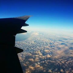 Светлана Аверина, 20.07, Москва