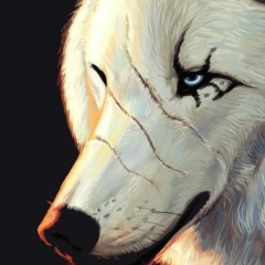 Чингиз Гудубаев, 28.12, Томск