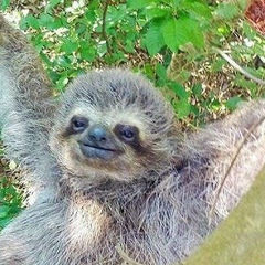 Yekaterina Yekaterina, Москва