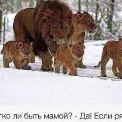 Петимат Арсаныкаева, 08.01.1984, Санкт-Петербург