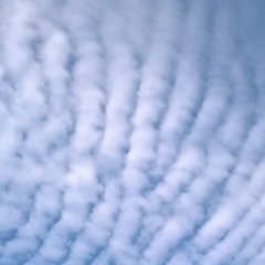 Людмила Аксенова, 29.04, Санкт-Петербург