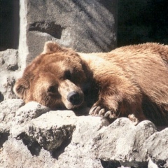Михаил Кузнецов, 22.05.1987, Санкт-Петербург