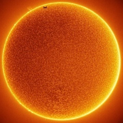 Алексей Геннадьевич, 01.08, Санкт-Петербург