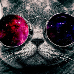 Артём Синяков, 01.05.1990, Санкт-Петербург