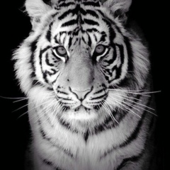 Игорь Липин, 01.05, Москва