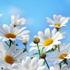 Людмила Шебалина, 04.08