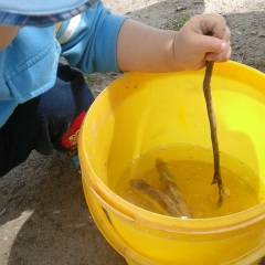 Дамеш Ахметжанова, 30.04.1993, Курчатов