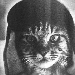 Андрей Петрович, 06.03.1984, Москва