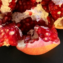 Ksenia Ksenia, 03.01