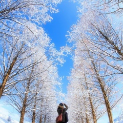 Владислав Пак