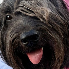 Вла К, 15.02.1963, Сочи