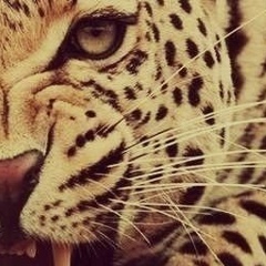 Анастасия Жовтоног, 24.03, Киев