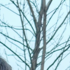 Игорь Деремьян, 14.10.1988, Краснодар