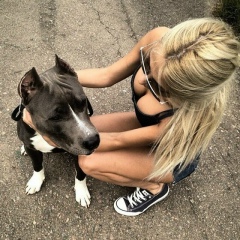 Бодя Чебан, 02.11