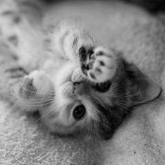 Ирина Ныркова, 07.02, Алматы