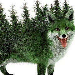 Елена Андриенко, 29.05