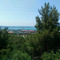 Сергей Крылов, London