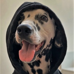 Александр Чернов