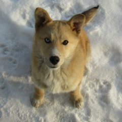 Анна Уракова, 18.09.1986