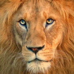 Виктор Шураев, 21.08.1957, Нижний Новгород