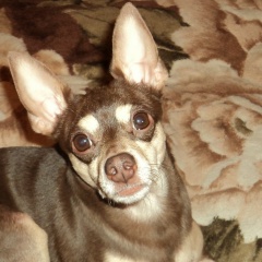 Екатерина Гладкова, 02.06, Выборг