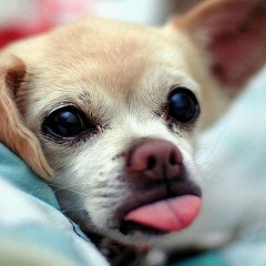 Елена Арбузова, 24.10, Москва