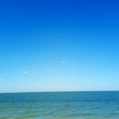 Роман Близкий, 30.11, Москва