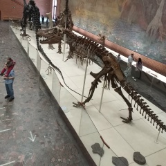 Александр Чубуков