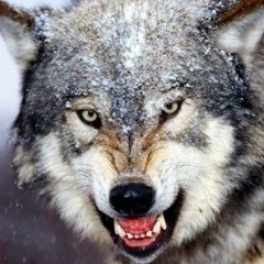 Asilbek Alibaev, 04.05.1999, Актау