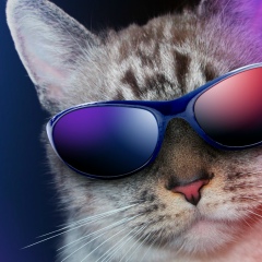 Михаил Ницеля, 12.05, Раменское