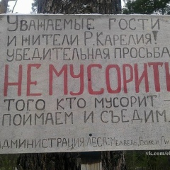 Иван Иванов, 15.11, Санкт-Петербург