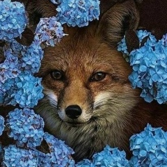 Марьям Джатдоева, 30.04