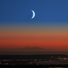 Arab Al-Mafia, Москва