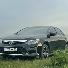 Зелимхан Оздоев, 27.08.1989, Великий Новгород