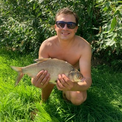 Артем Талаш, Киев