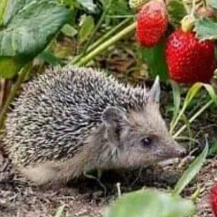 Маша Мавлеева, 21.11, Санкт-Петербург