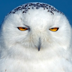 Мария Грикурова, 07.03, Санкт-Петербург