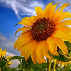 Ксеня Афанасьева, 04.12, Москва