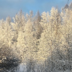 Екатерина Ухова, 14.12, Санкт-Петербург