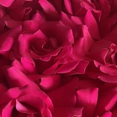 Mari Mari, Астана